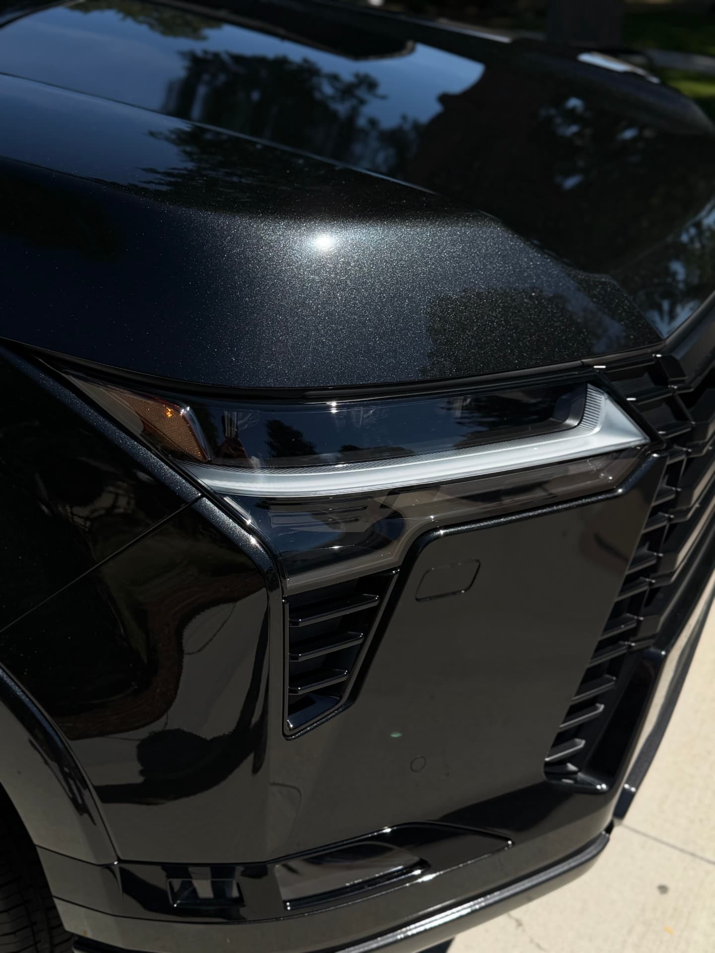 Mirror-like reflections on a freshly corrected and coated black hood